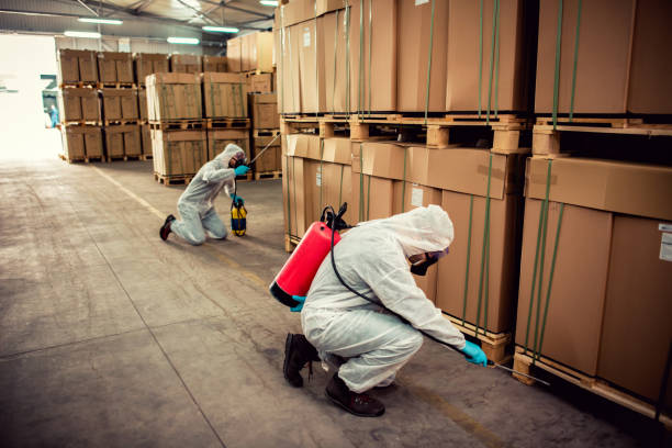 Best Termite Control Services  in Vley Grande, AL
