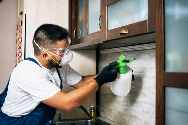 Best Pest Prevention Services  in Vley Grande, AL