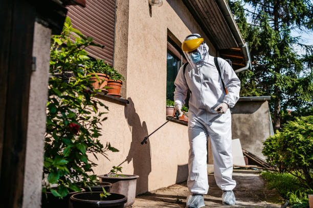 Best Residential Pest Control  in Vley Grande, AL