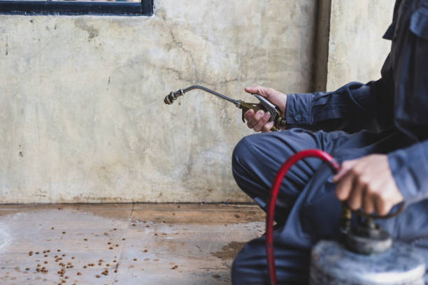 Best Best Pest Control Companies  in Vley Grande, AL