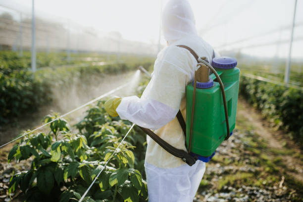 Best Pest Inspection Near Me  in Vley Grande, AL